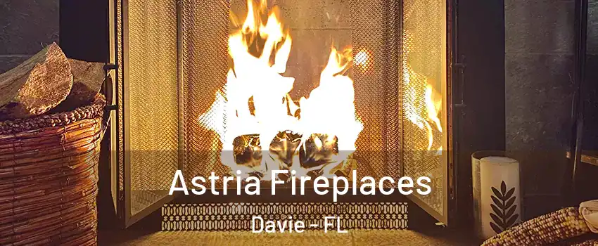  Astria Fireplaces Davie - FL