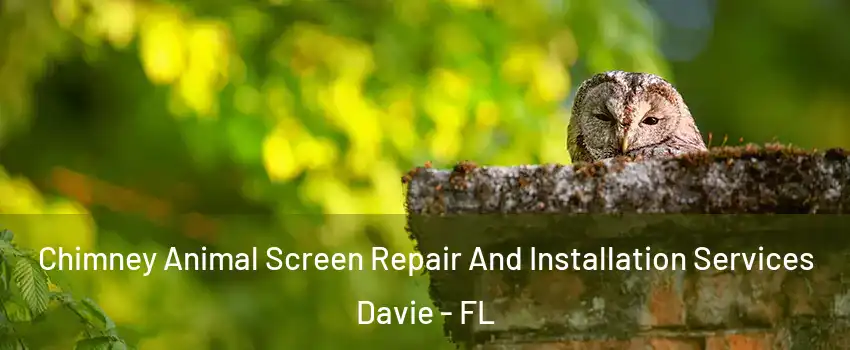  Chimney Animal Screen Repair And Installation Services Davie - FL