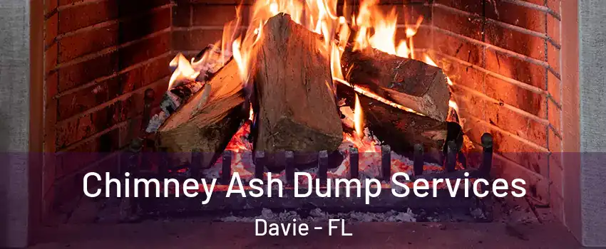  Chimney Ash Dump Services Davie - FL