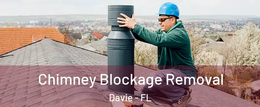  Chimney Blockage Removal Davie - FL