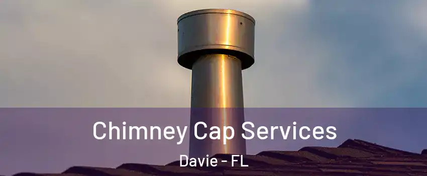  Chimney Cap Services Davie - FL