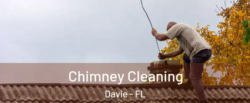 Chimney Cleaning Davie - FL
