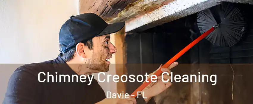  Chimney Creosote Cleaning Davie - FL