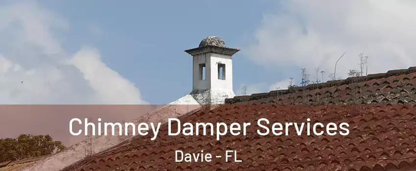  Chimney Damper Services Davie - FL