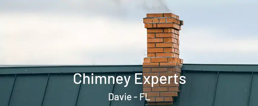 Chimney Experts Davie - FL