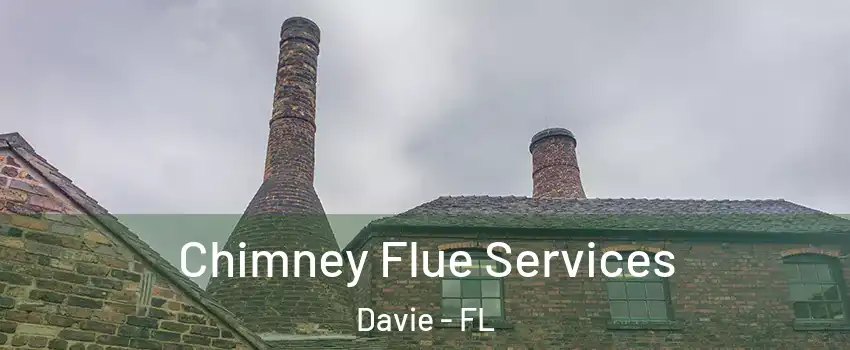  Chimney Flue Services Davie - FL