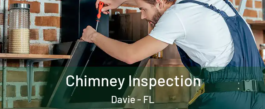  Chimney Inspection Davie - FL