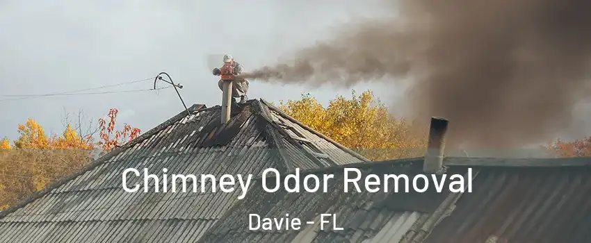  Chimney Odor Removal Davie - FL
