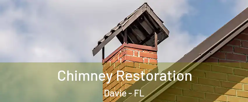  Chimney Restoration Davie - FL