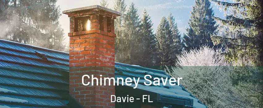  Chimney Saver Davie - FL