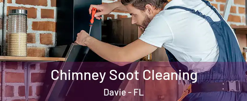  Chimney Soot Cleaning Davie - FL