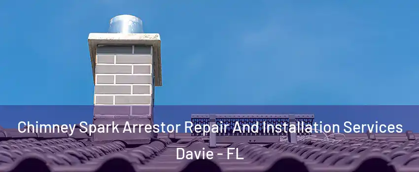  Chimney Spark Arrestor Repair And Installation Services Davie - FL