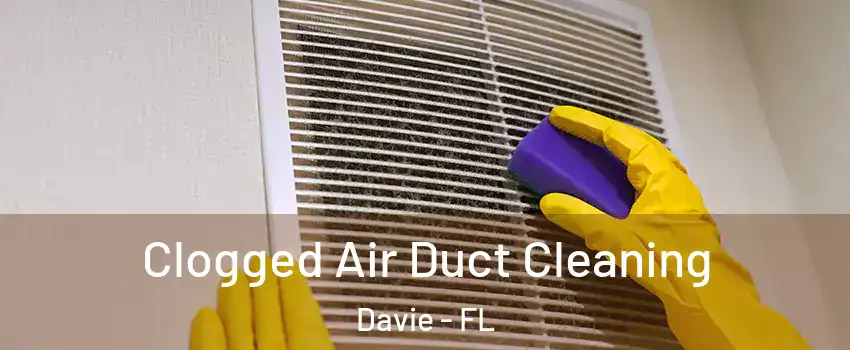  Clogged Air Duct Cleaning Davie - FL