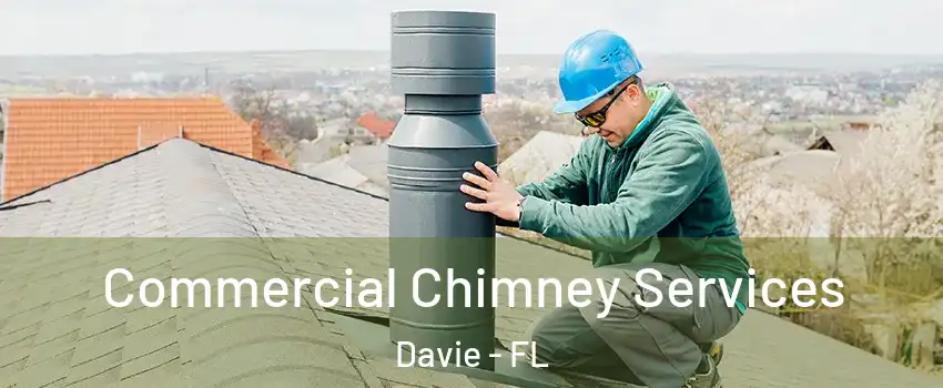  Commercial Chimney Services Davie - FL