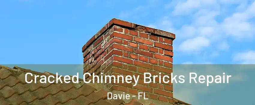  Cracked Chimney Bricks Repair Davie - FL