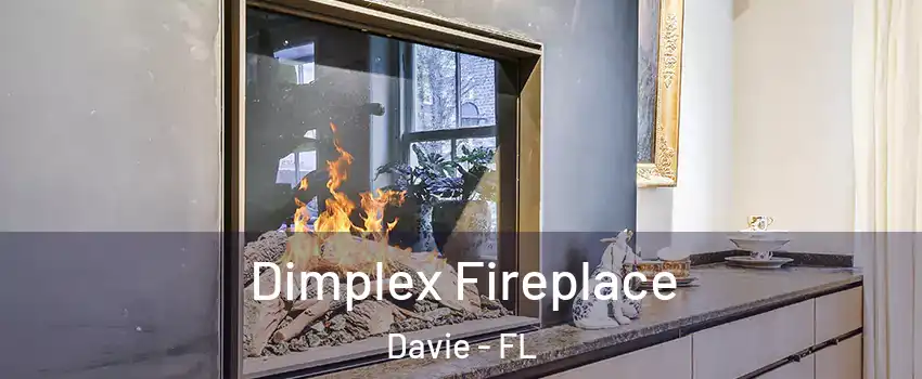  Dimplex Fireplace Davie - FL