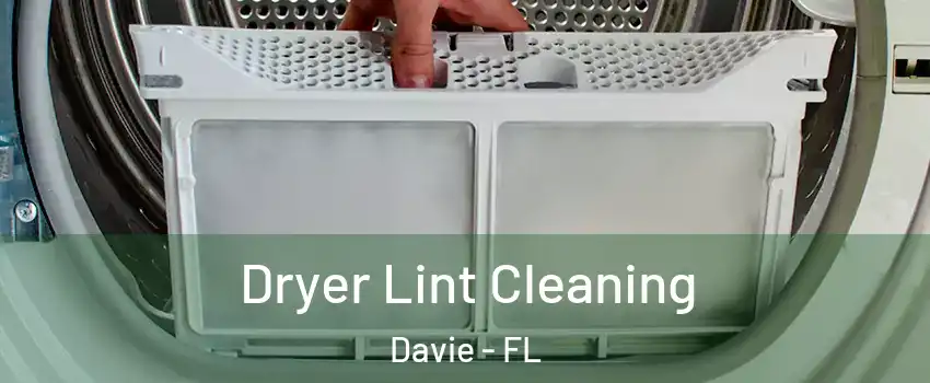  Dryer Lint Cleaning Davie - FL
