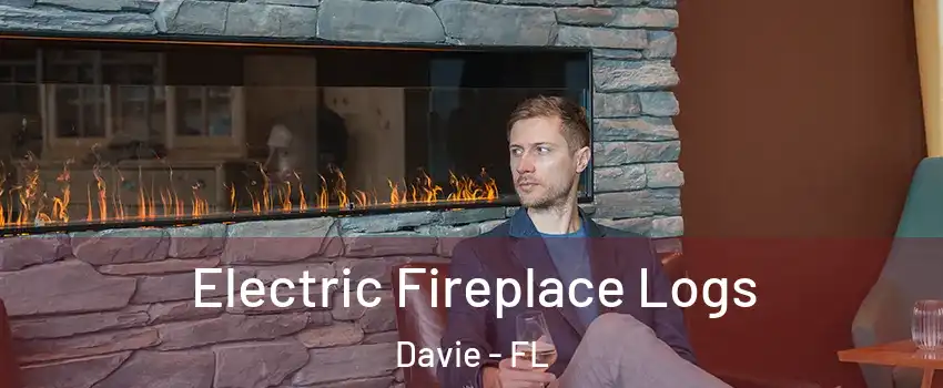  Electric Fireplace Logs Davie - FL