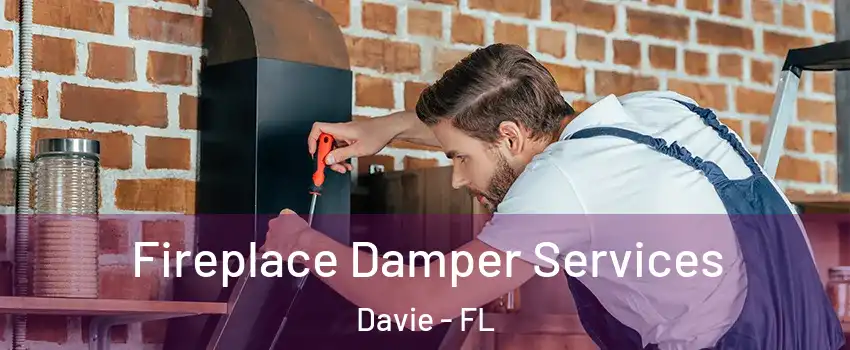  Fireplace Damper Services Davie - FL