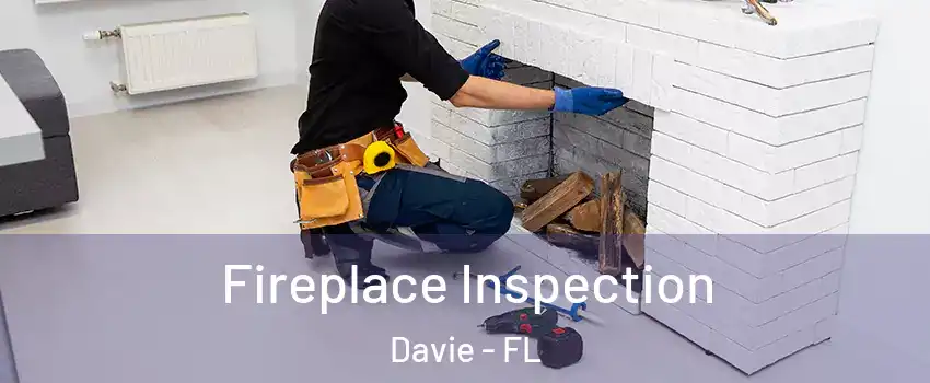  Fireplace Inspection Davie - FL