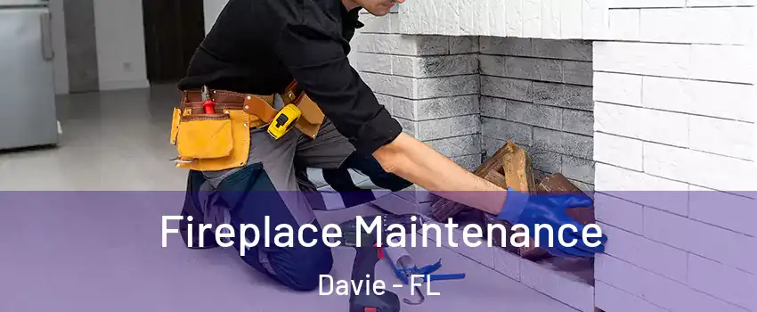  Fireplace Maintenance Davie - FL