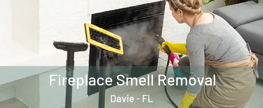  Fireplace Smell Removal Davie - FL