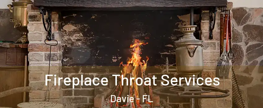  Fireplace Throat Services Davie - FL