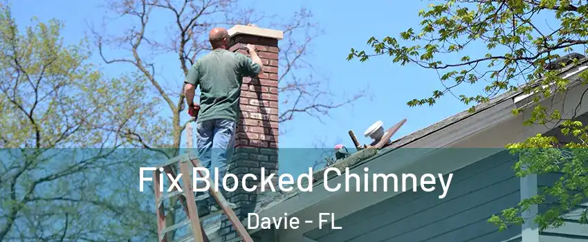  Fix Blocked Chimney Davie - FL