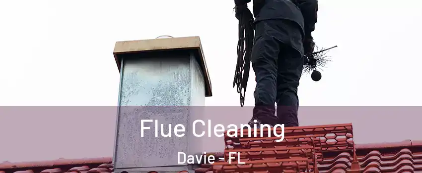  Flue Cleaning Davie - FL