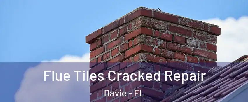  Flue Tiles Cracked Repair Davie - FL