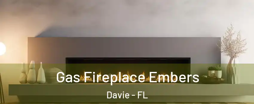  Gas Fireplace Embers Davie - FL