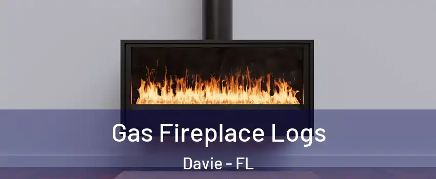  Gas Fireplace Logs Davie - FL