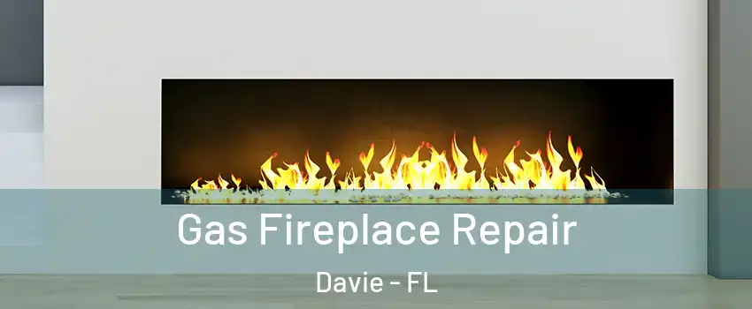  Gas Fireplace Repair Davie - FL