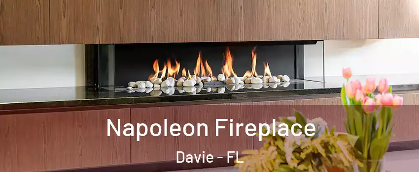  Napoleon Fireplace Davie - FL