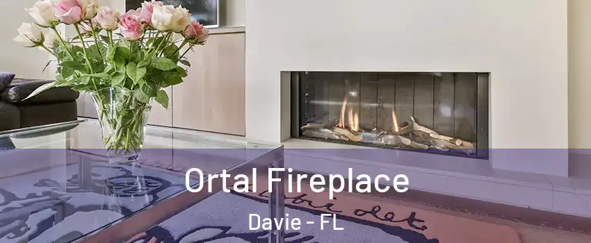 Ortal Fireplace Davie - FL